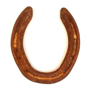 Horse Shoe (Evil Eye Protector)